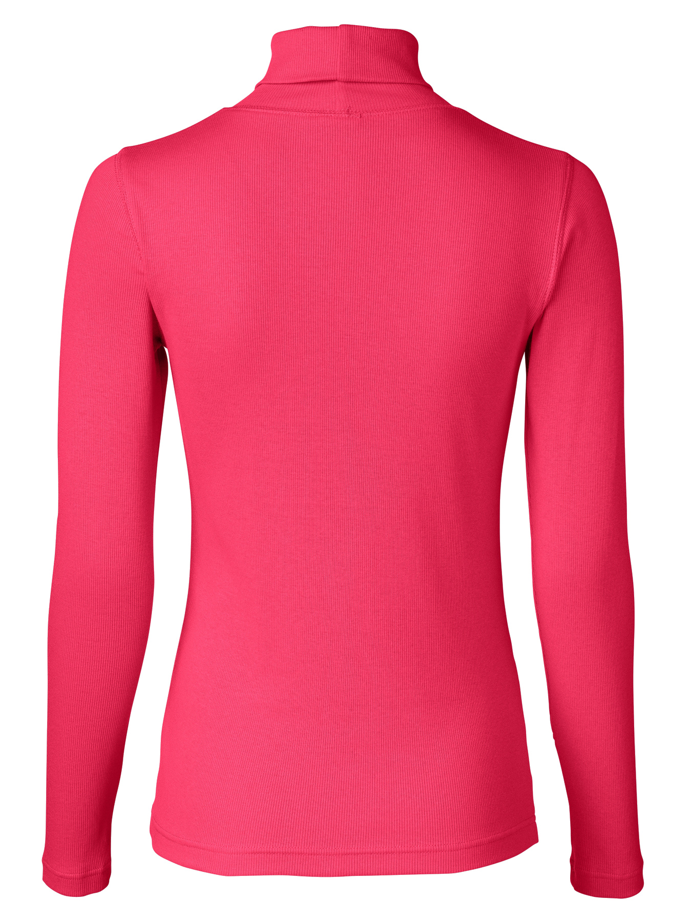 Daily Sports Maggie Roll Neck Layer Berry